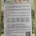 富农一号大果型朝天椒，青红两用，硬度好，长势旺盛，抗病