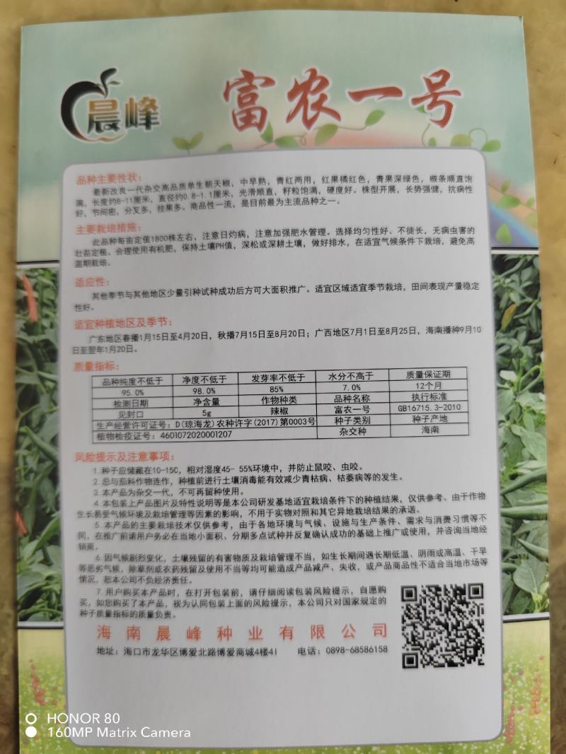 富农一号大果型朝天椒，青红两用，硬度好，长势旺盛，抗病