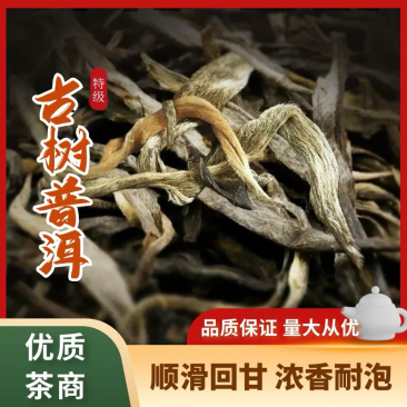 【百年古树普洱茶】一手货源好山出好茶甘醇无杂质