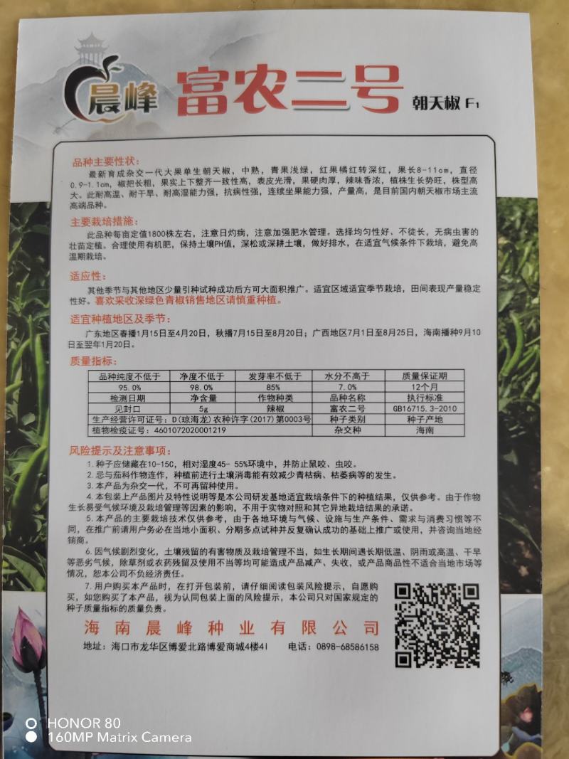 富农二号大果型朝天椒硬度好椒条顺直品质保证厂家直销