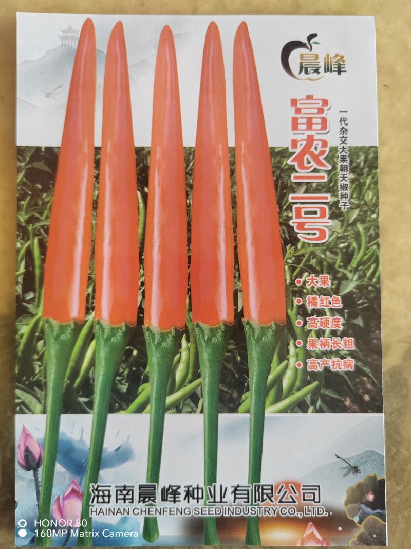 富农二号大果型朝天椒硬度好椒条顺直品质保证厂家直销