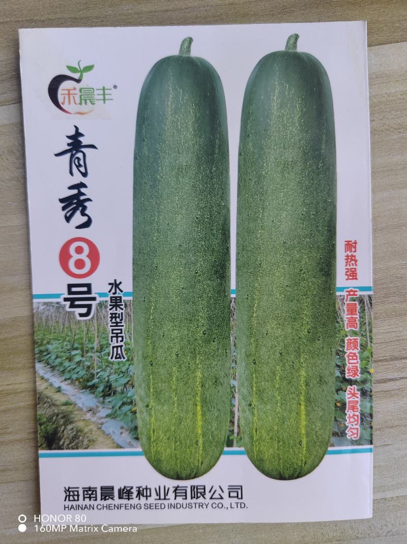 青秀8耐热耐湿中早熟吊瓜头尾均匀品质保证厂家发货