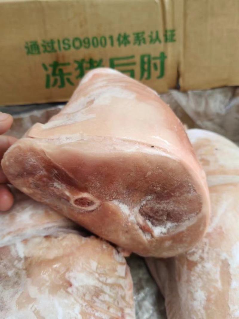 肥猪肘子