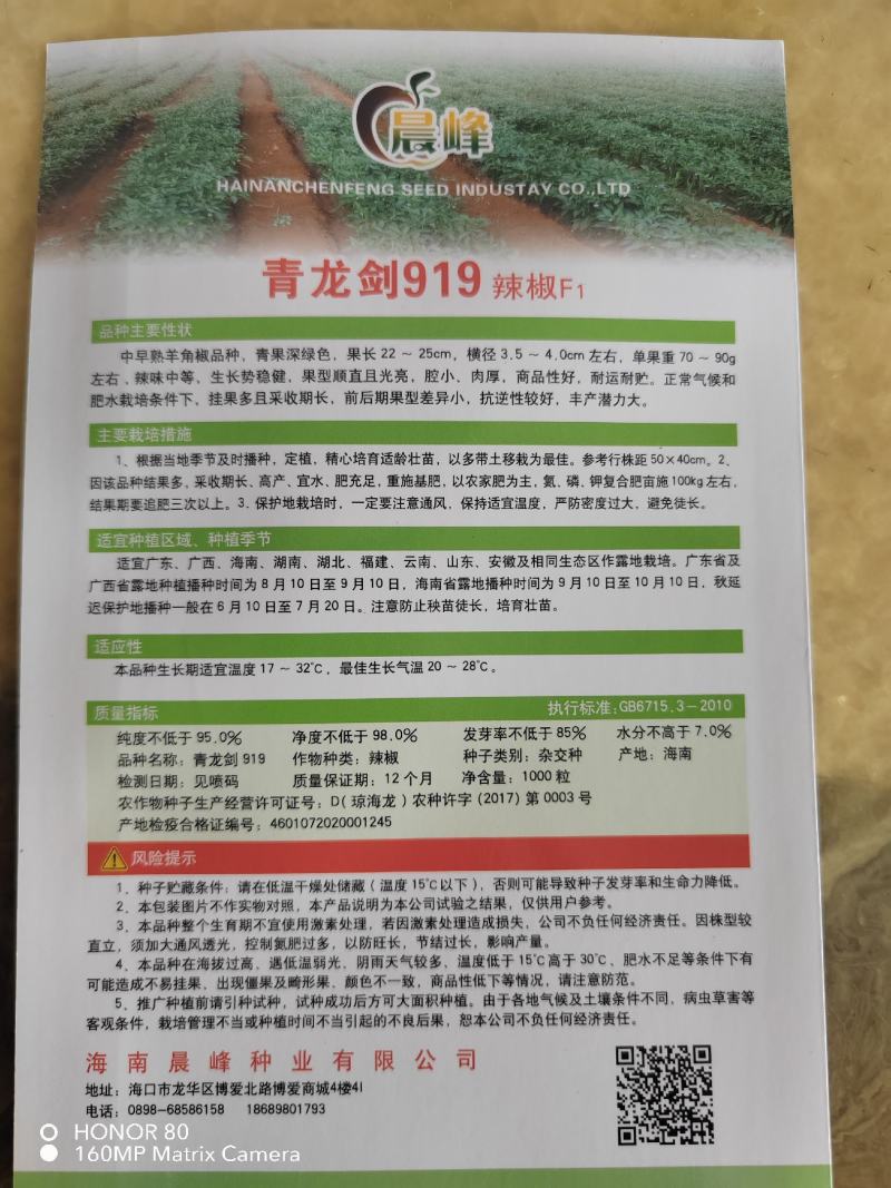青龙剑919中早熟青皮羊角椒青果深绿色商品性好厂家发货