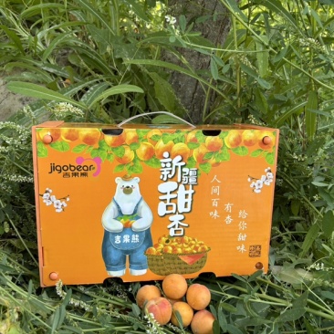 新疆吊干杏小红杏精品货净重3斤冷藏车，航空落地配一件代发