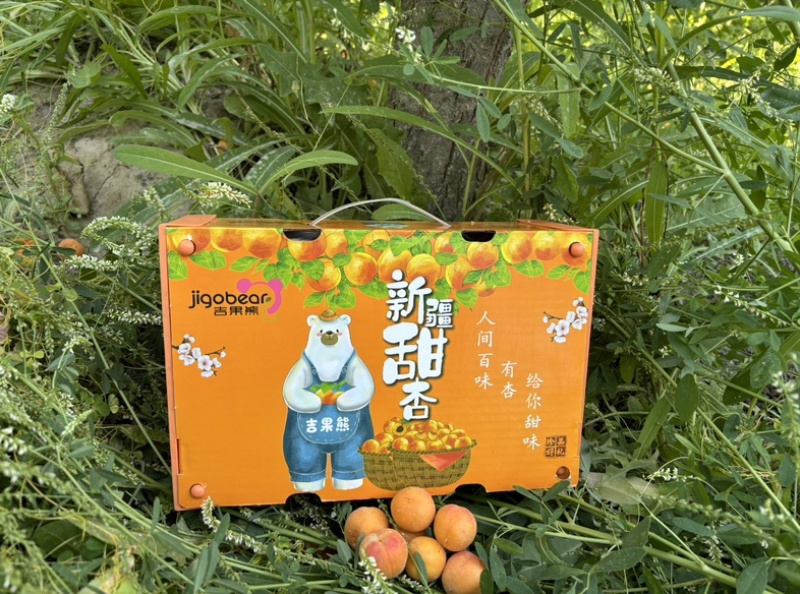 新疆吊干杏小红杏精品货净重3斤冷藏车，航空落地配一件代发