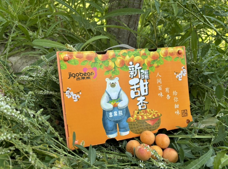 新疆吊干杏小红杏精品货净重3斤冷藏车，航空落地配一件代发