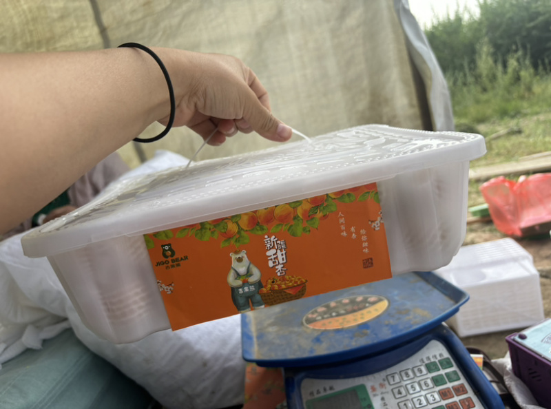 新疆吊干杏小红杏精品货净重3斤冷藏车，航空落地配一件代发