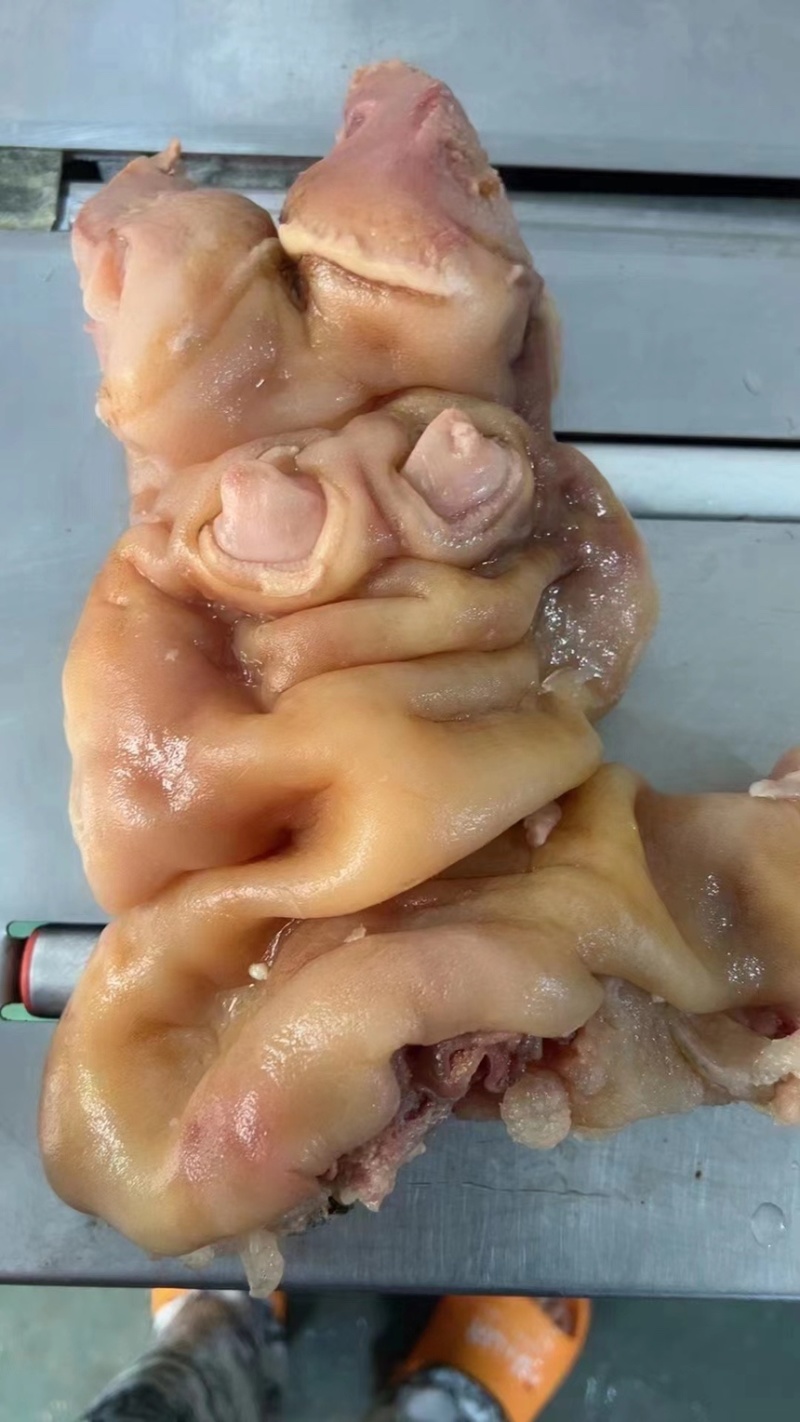 【熟牛蹄筋】去骨熟牛蹄带主筋全熟卤煮好产品