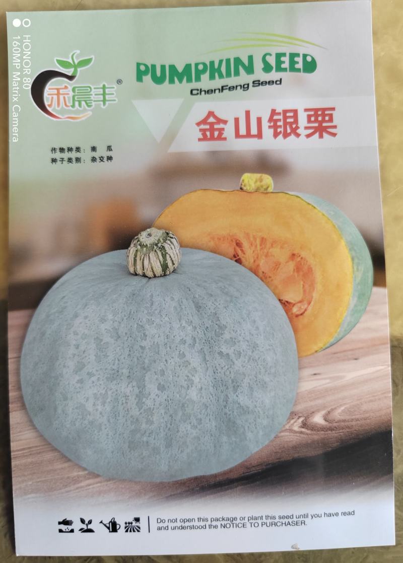 改良板栗南瓜种子，口感香甜面，板栗南瓜种子厂家发货招代理