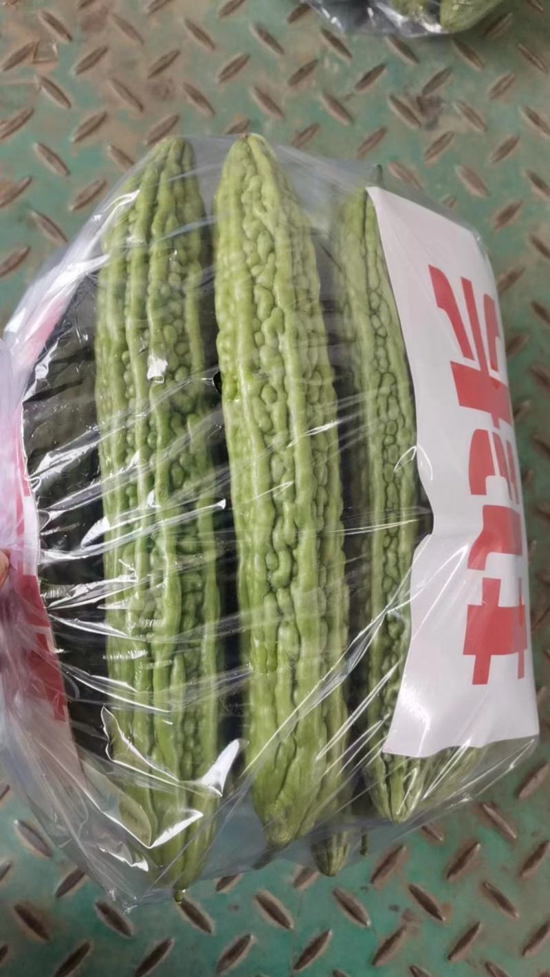 精品苦瓜，产地直发，需要抓紧时间