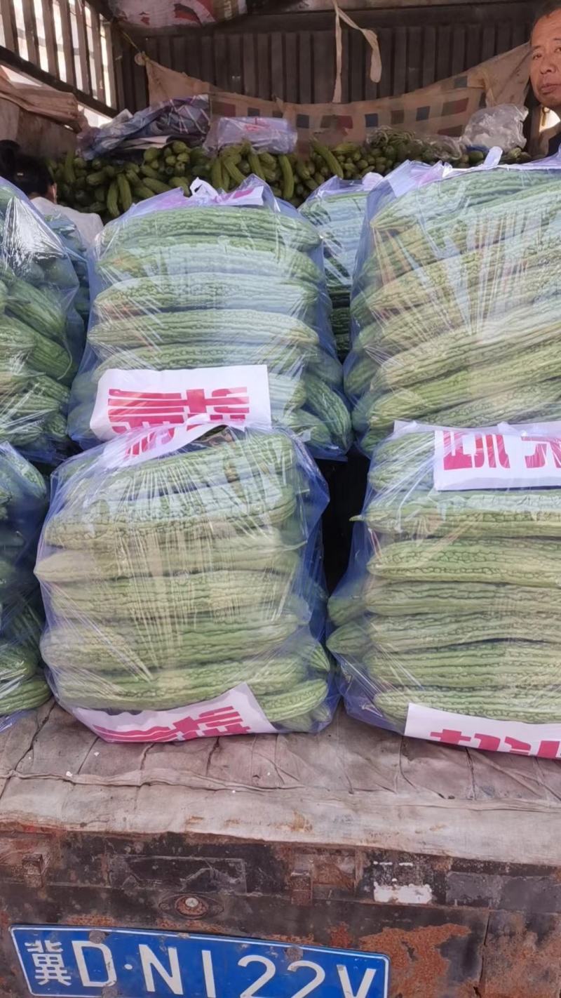 精品苦瓜，产地直发，需要抓紧时间