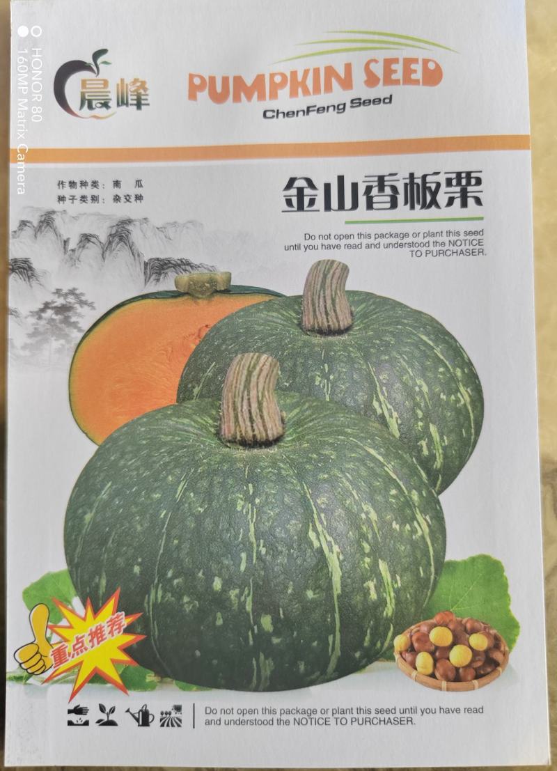 南瓜种子，板栗南瓜种子，南瓜种子，厂家发货，招代理
