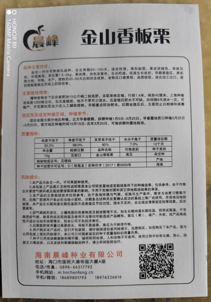南瓜种子，板栗南瓜种子，南瓜种子，厂家发货，招代理