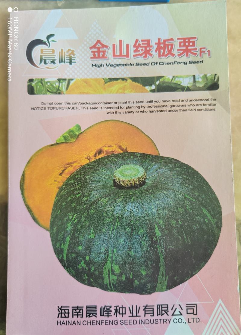 高产抗病易坐果南瓜种子，板栗南瓜种子，厂家发货，招代理