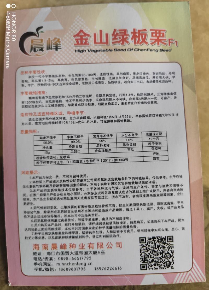 高产抗病易坐果南瓜种子，板栗南瓜种子，厂家发货，招代理