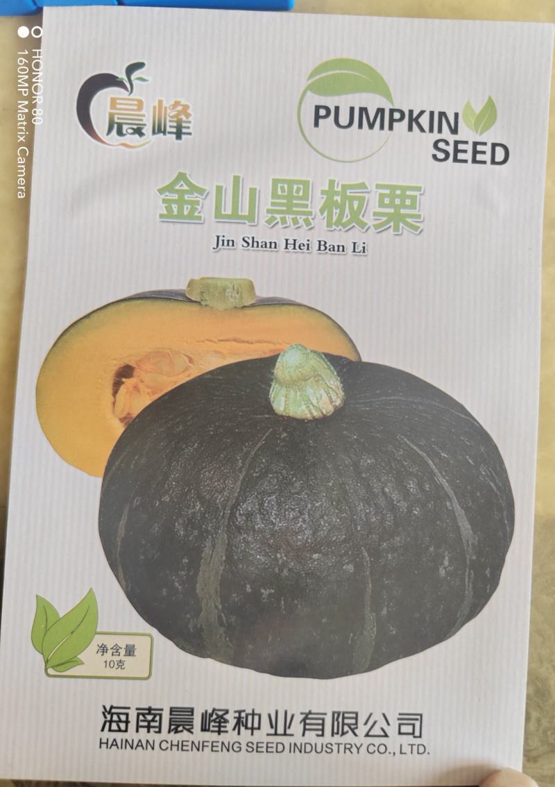 高产抗病口感佳的南瓜种子，板栗南瓜种子，厂家发货，招代