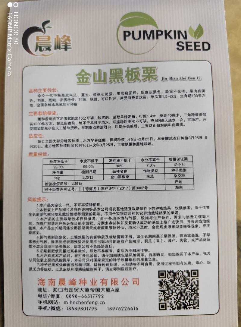 高产抗病口感佳的南瓜种子，板栗南瓜种子，厂家发货，招代