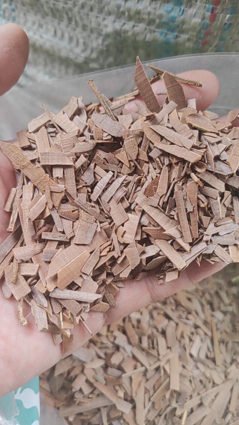 鬼箭羽自然生长量大从优2斤起包邮欢迎选购