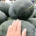 黑密油