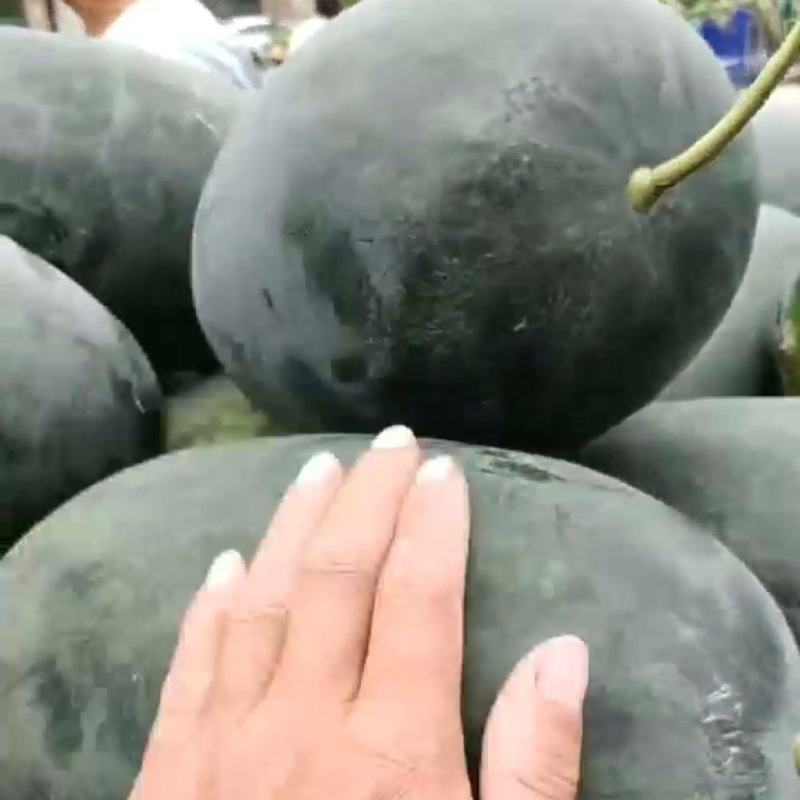 黑密油