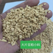 豆粕小料大片中片可做标包吨包工厂直发