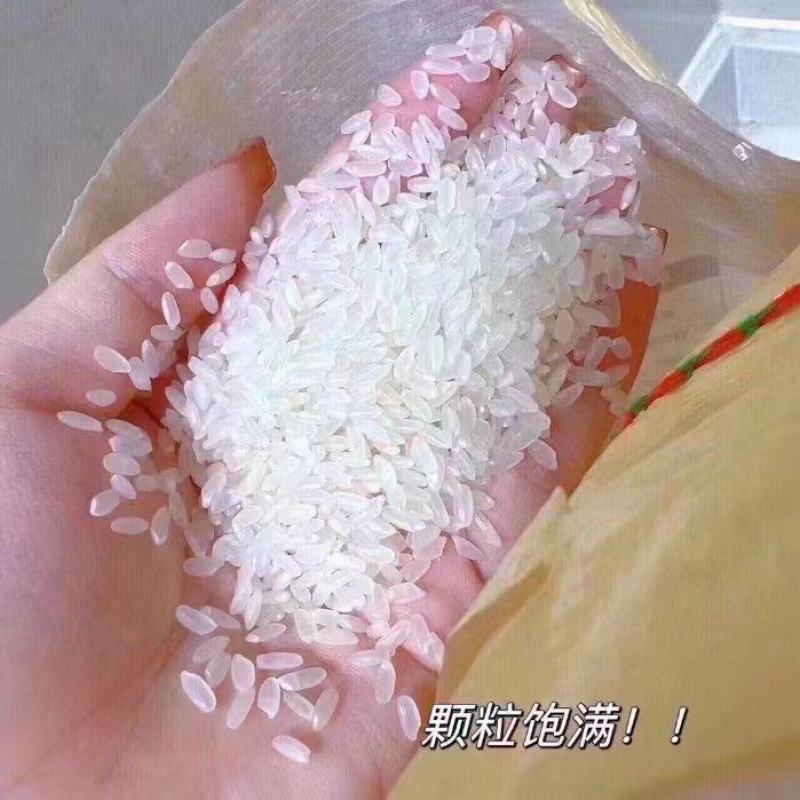 黑龙江哈尔滨五常大米产地发货一手货源批发品质保证价格优惠