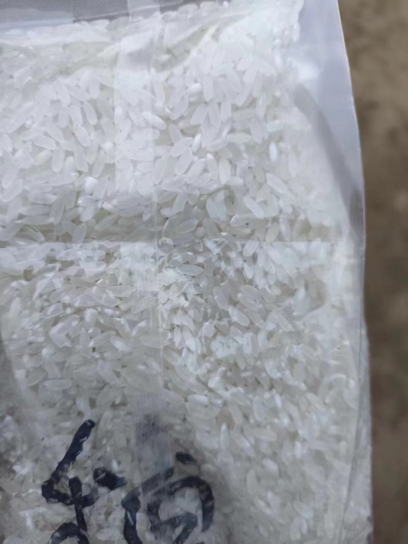黑龙江哈尔滨五常大米产地发货一手货源批发品质保证价格优惠