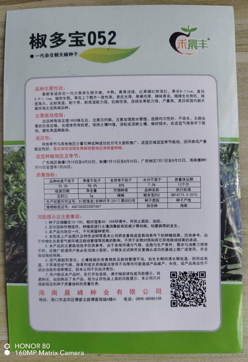 大果朝天椒种子，高硬度，长把，高产，顺直光滑厂家直销招代
