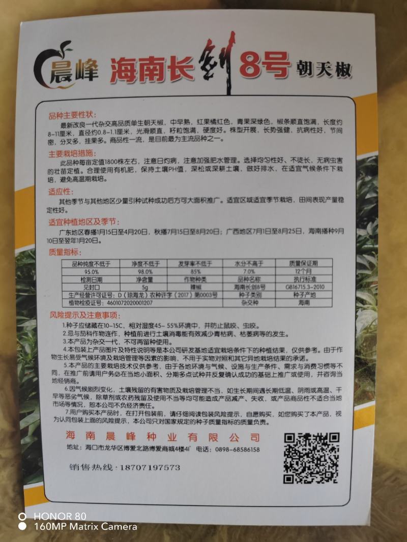 长剑八号，大果朝天椒9到11厘米，高产顺直厂家直销招代理