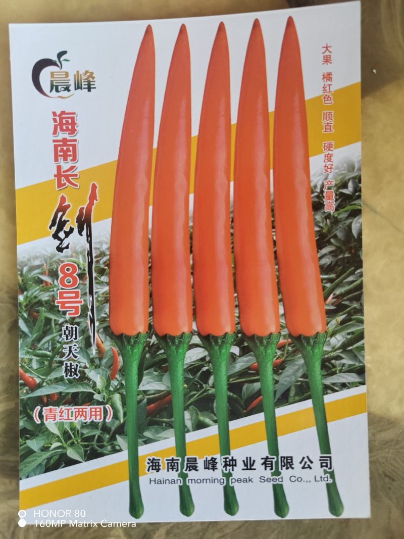 长剑八号，大果朝天椒9到11厘米，高产顺直厂家直销招代理
