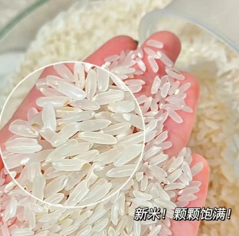 黑龙江五常大米稻花香品种纯正，质量保证价格便宜全国发货