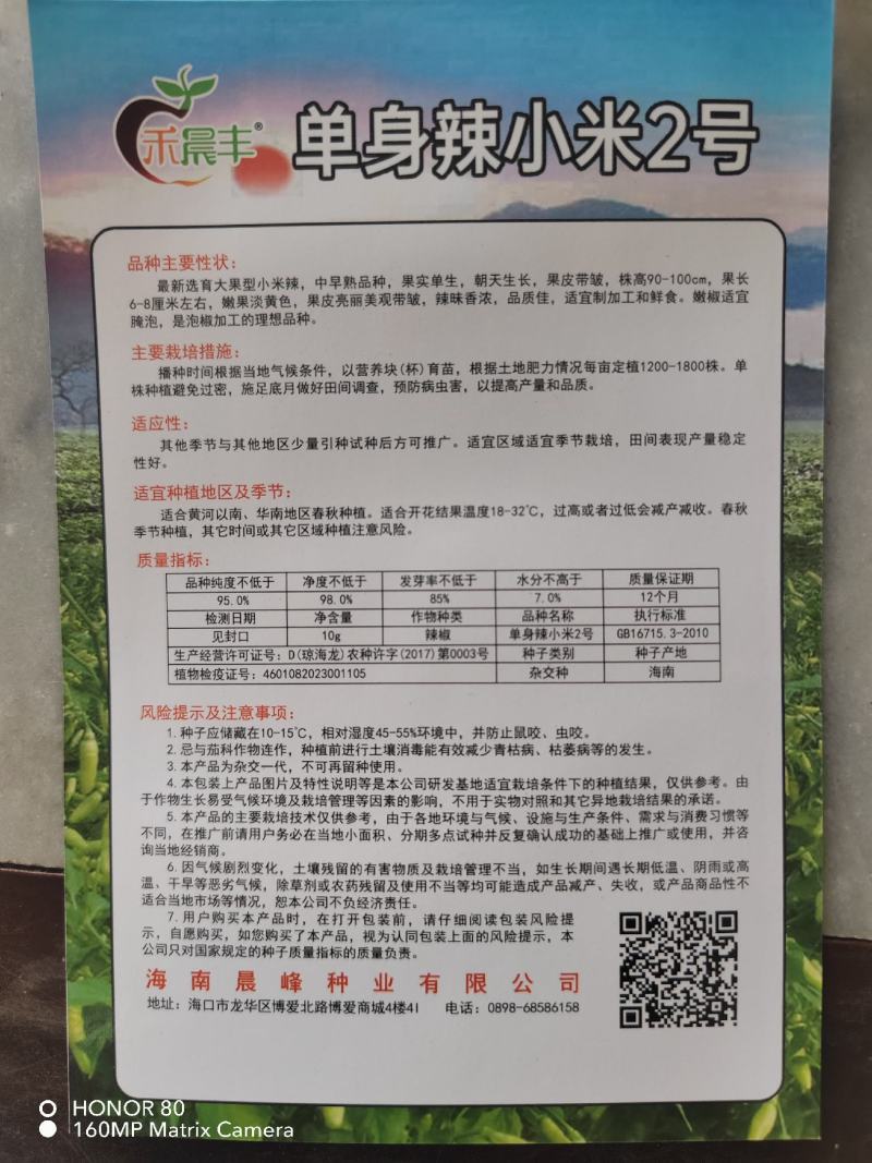 朝天椒种子，小米辣种子，云南小米辣，产量高，品质保障