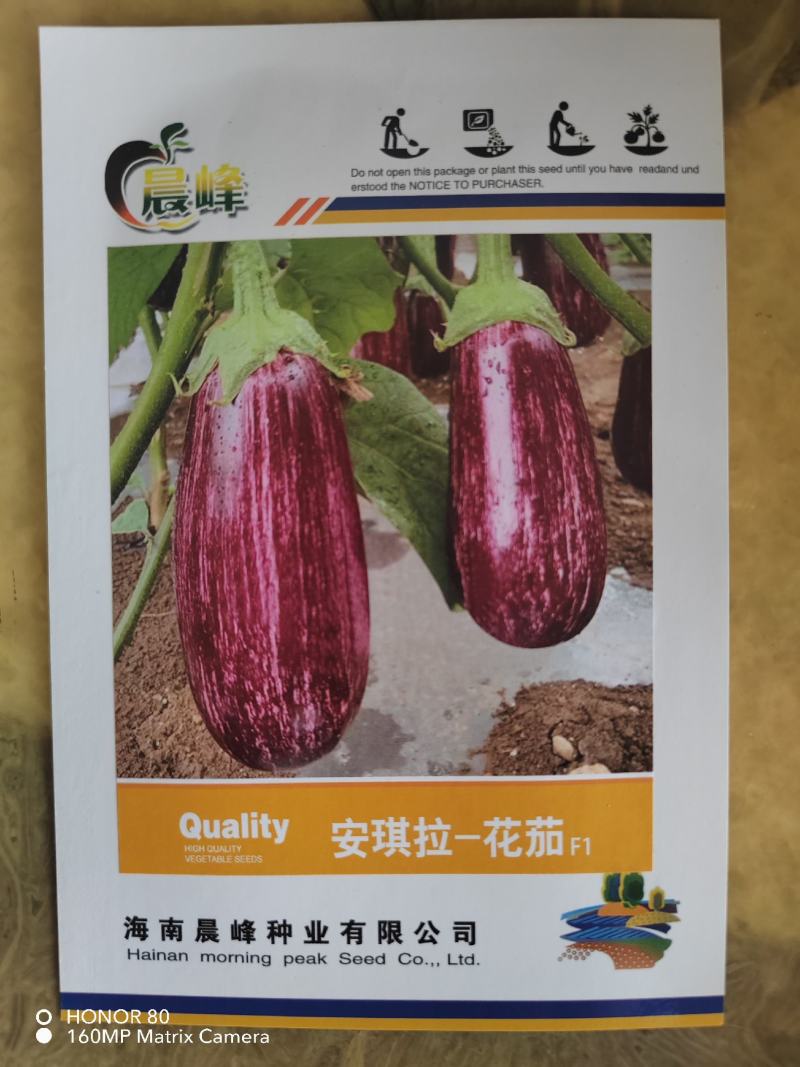 彩色茄子种子，颜色漂亮，口感佳，抗病高产