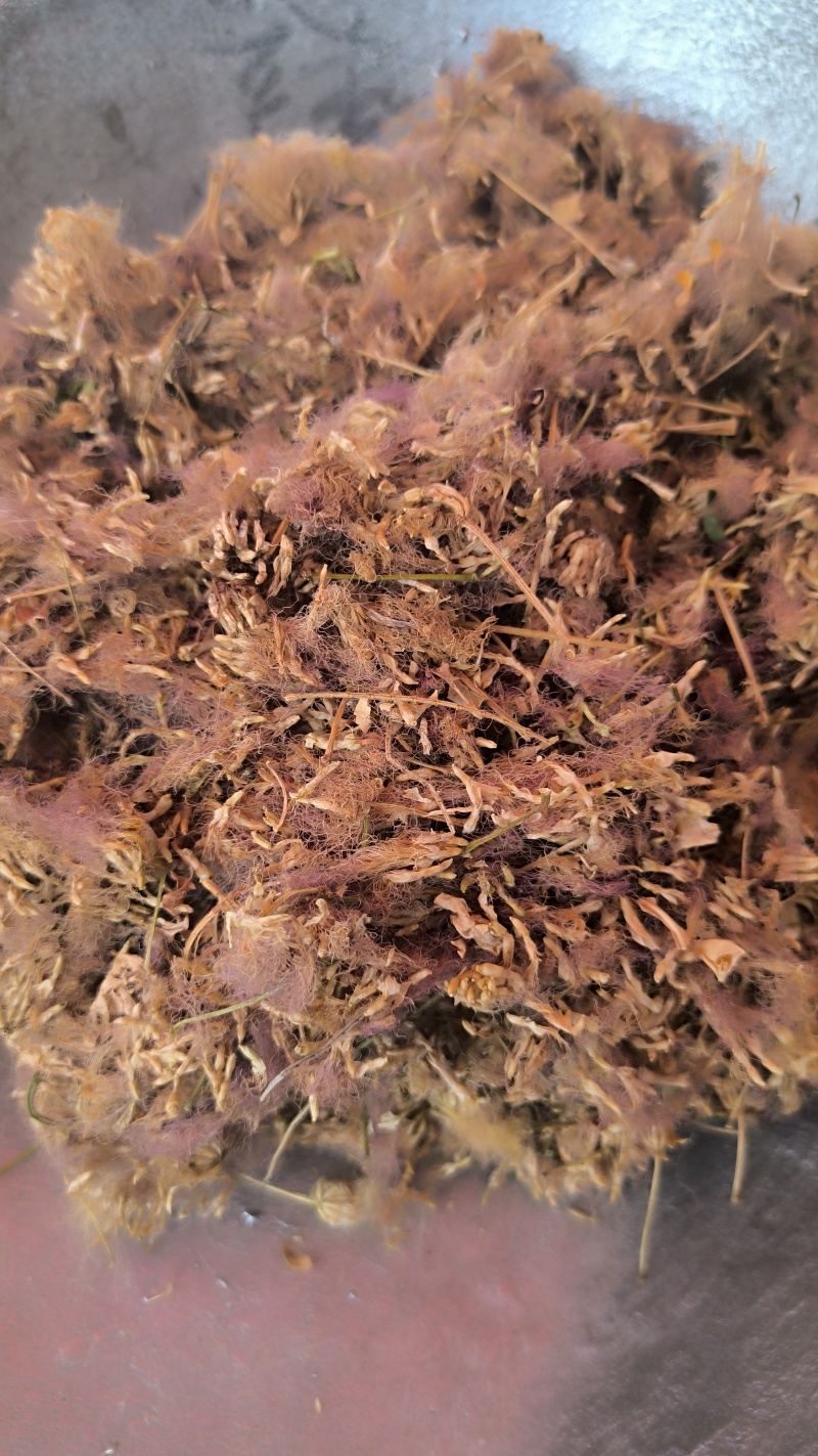 合欢花中药材批发合欢花质量保证量大从优