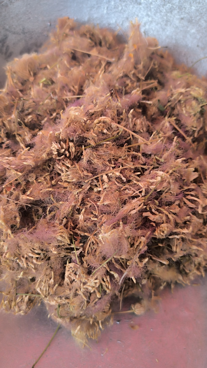 合欢花中药材批发合欢花质量保证量大从优