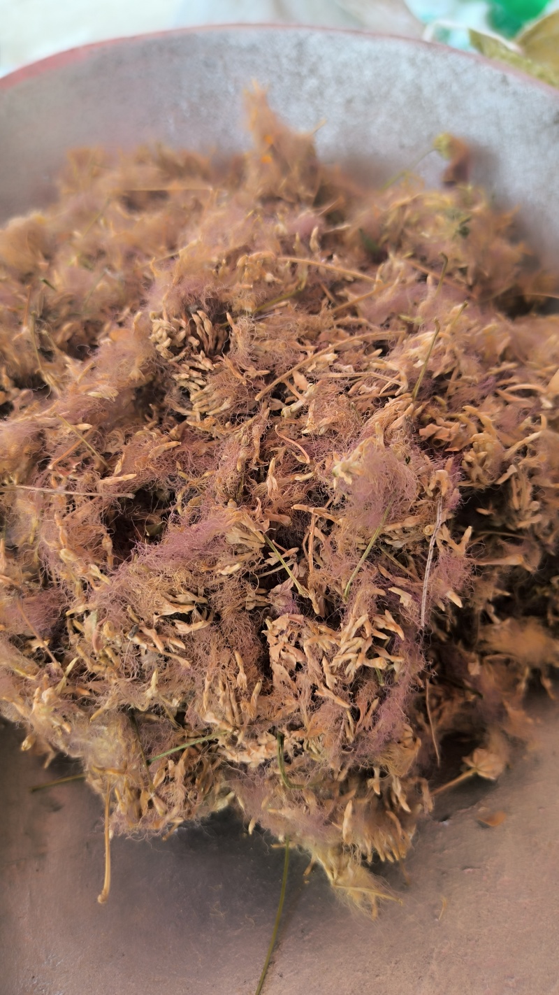 合欢花中药材批发合欢花质量保证量大从优