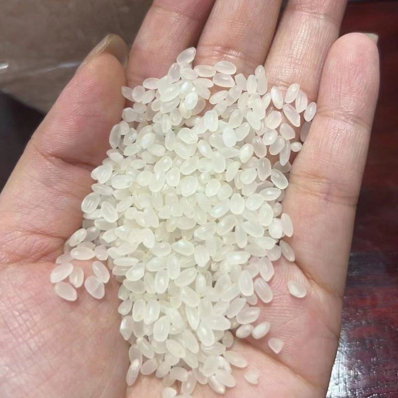 珍珠米和其他各类大米