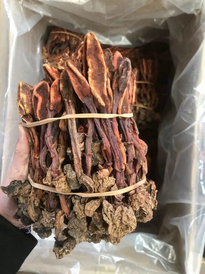 回春草精品回春草一手货源价格实惠