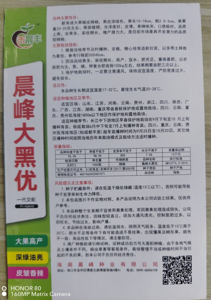 晨峰大黑优皮薄香辣味浓坐果能力强品质保证厂家发货