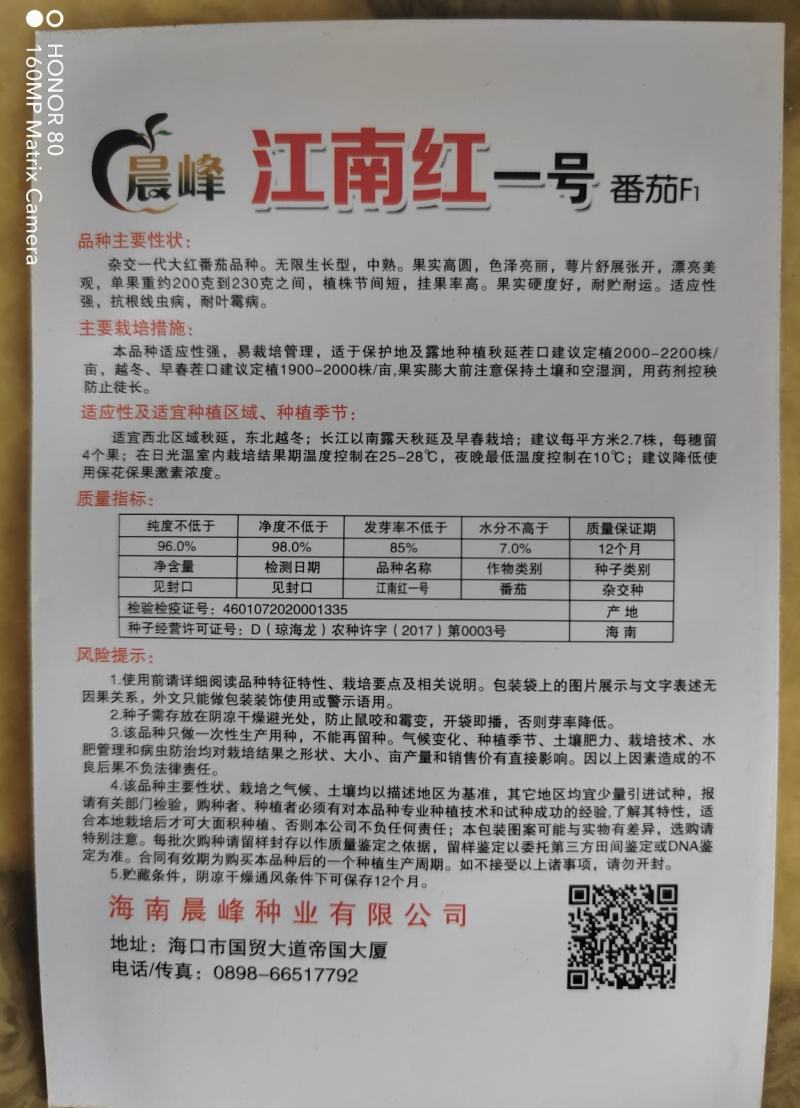 精品大红果番茄种子，大红果西红柿种子，抗病耐裂果，
