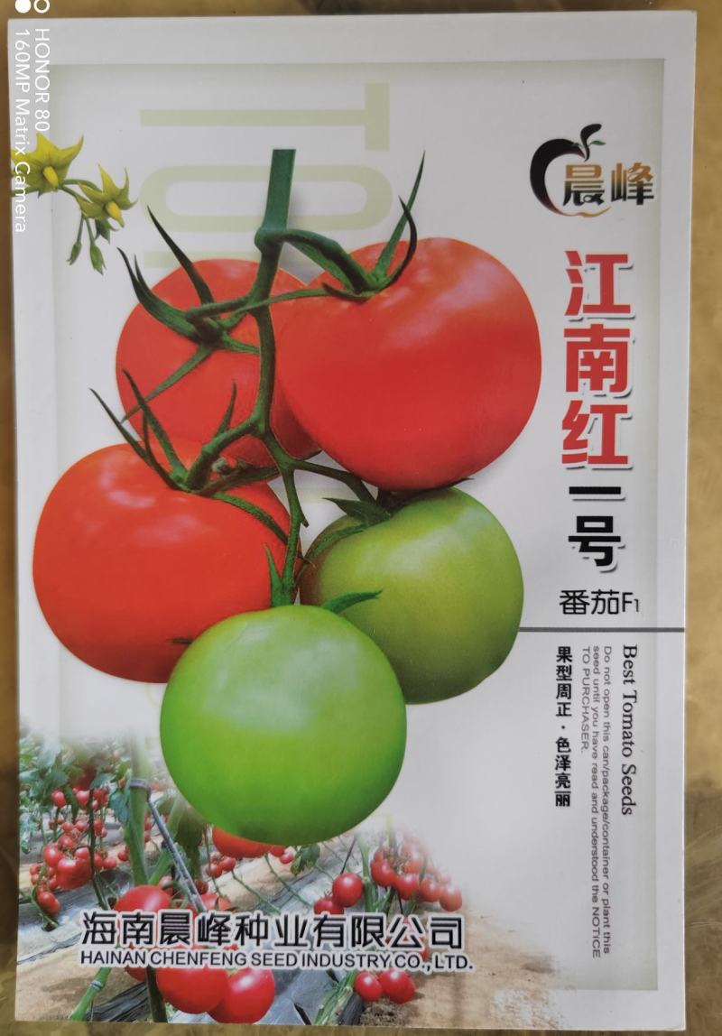 精品大红果番茄种子，大红果西红柿种子，抗病耐裂果，