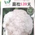 花菜种子喜松120天晚熟甜脆好吃花球大松散洁白产量高