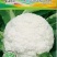 花菜种子喜松120天晚熟甜脆好吃花球大松散洁白产量高