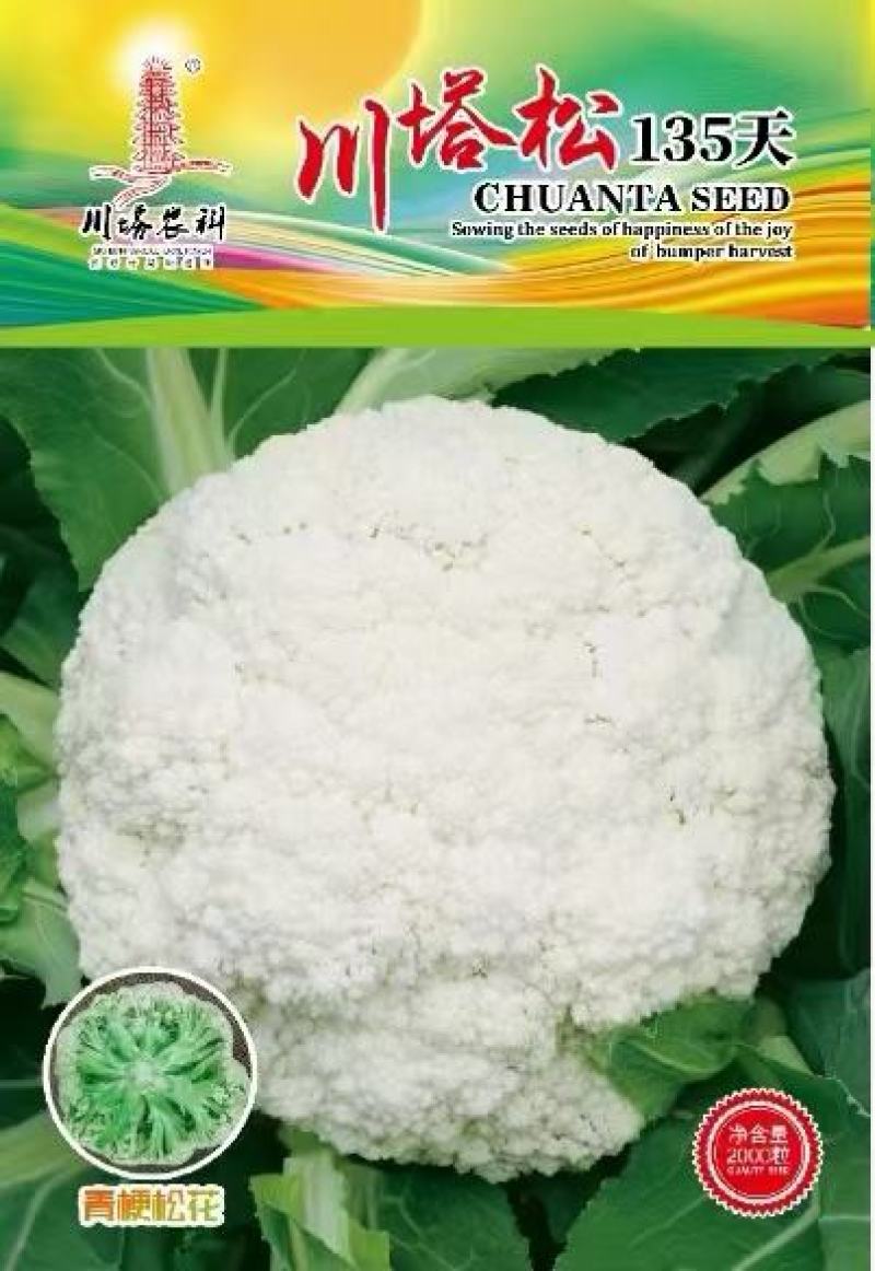 花菜种子喜松120天晚熟甜脆好吃花球大松散洁白产量高