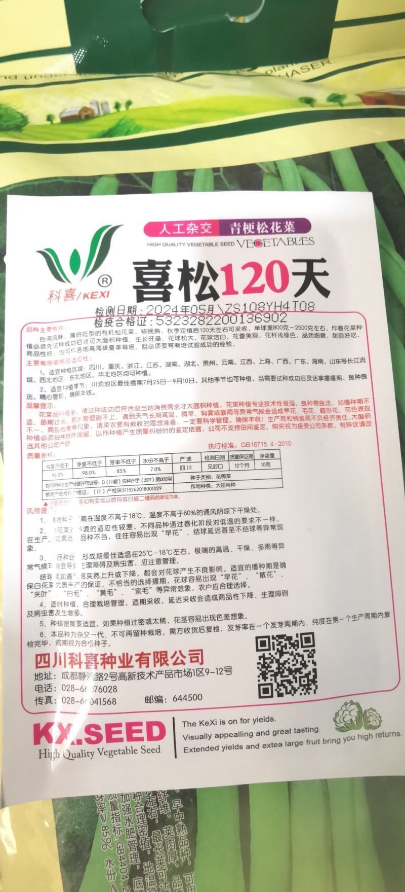 花菜种子喜松120天晚熟甜脆好吃花球大松散洁白产量高