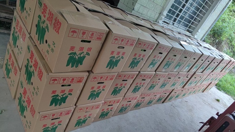 正宗高山青皮芜湖椒量大从优一手货源