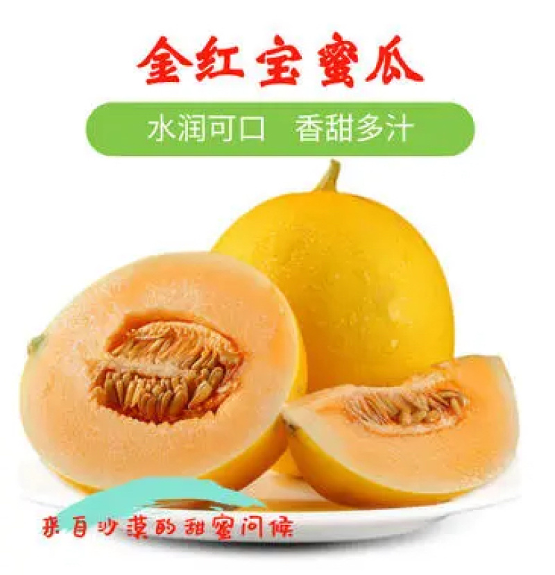 甘肃甜瓜民勤金红宝哈密瓜大量供应产地直发价格美丽欢迎来