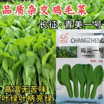 青美一号鸡毛菜种子杂交高品质青梗小白菜青菜种子耐热四季播