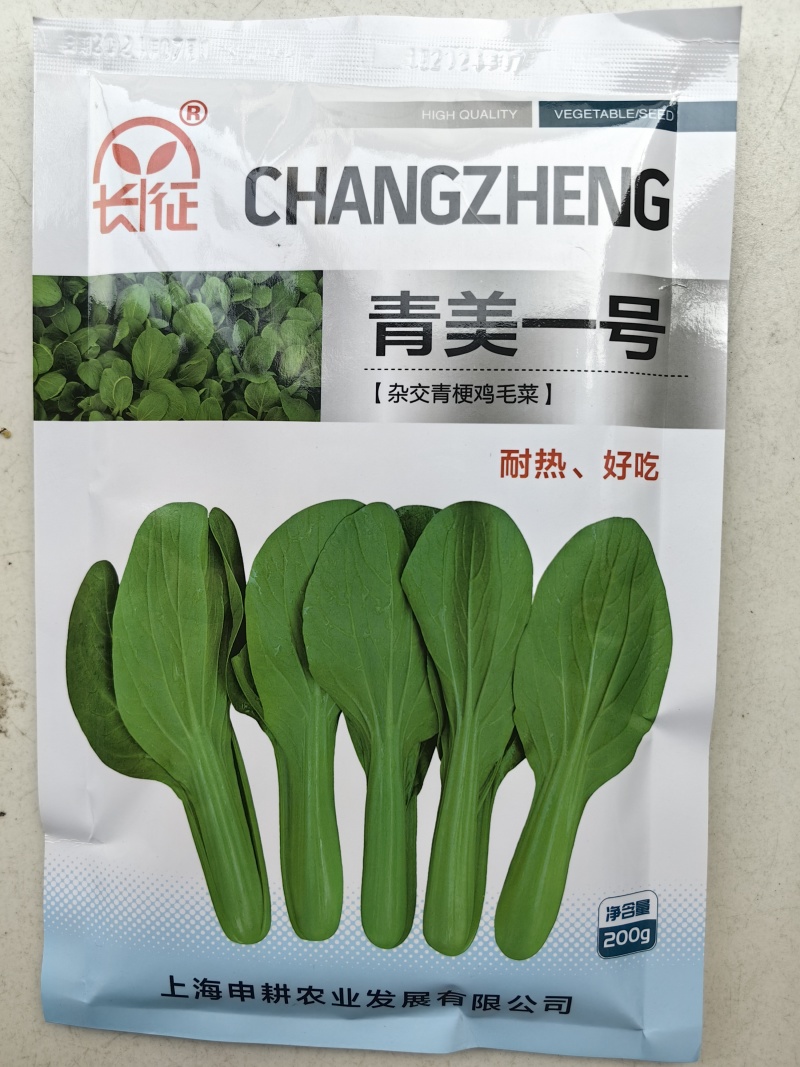 青美一号鸡毛菜种子杂交高品质青梗小白菜青菜种子耐热四季播